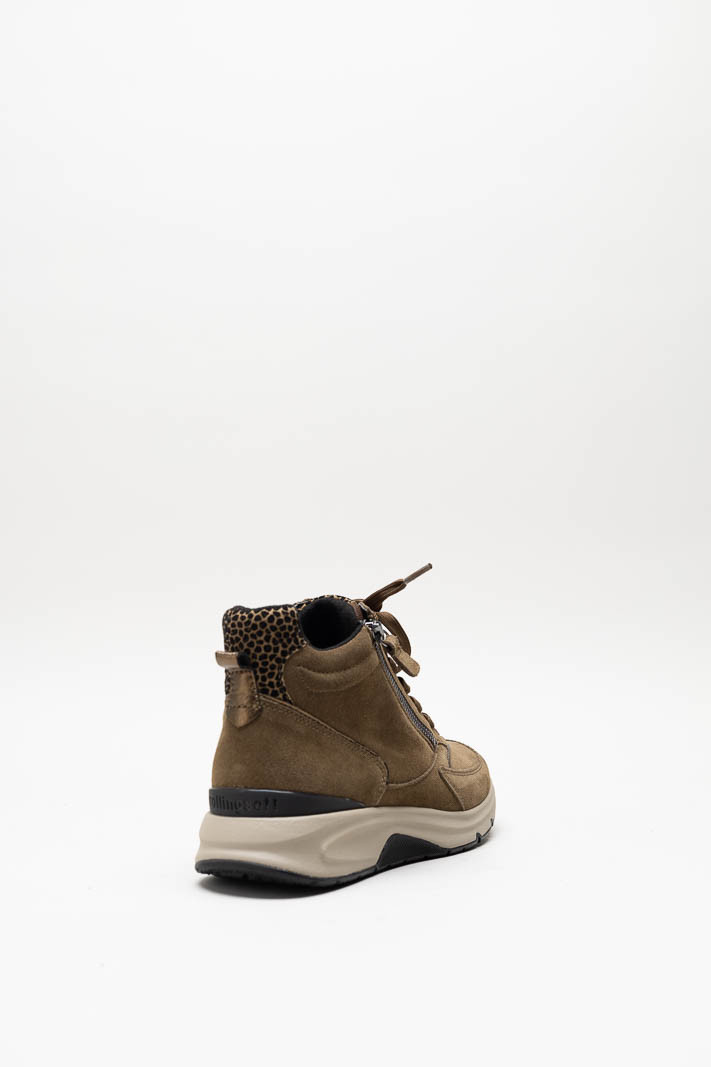 Bruin Sneaker image