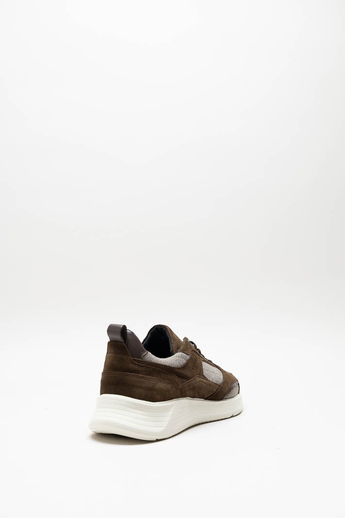 Bruin Sneaker image
