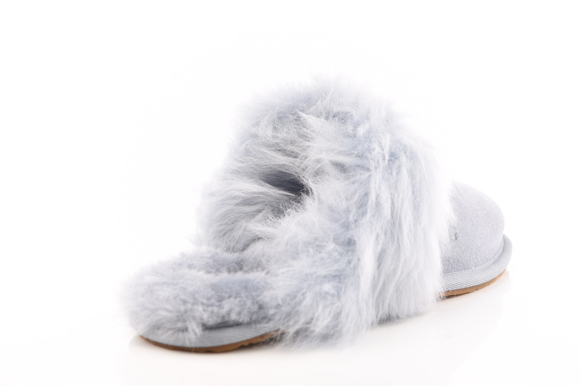 Blauw Pantoffel image