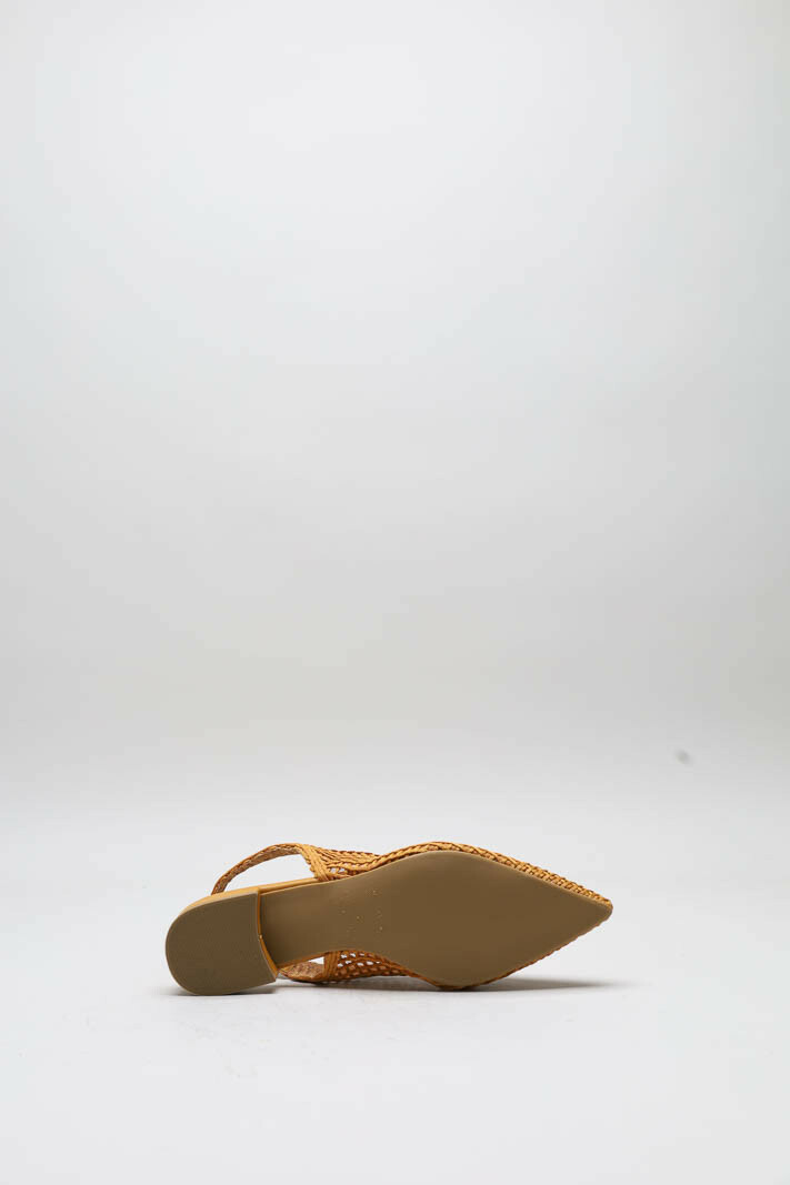 Oranje Ballerina image