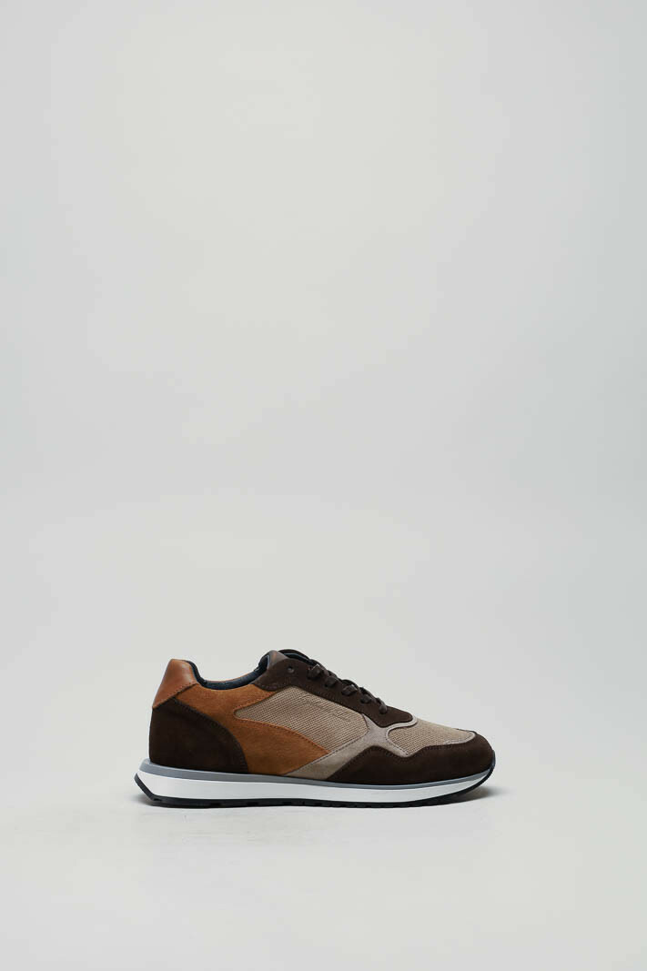 Bruin Sneaker