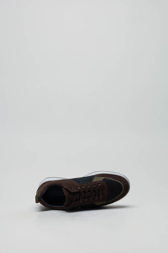Bruin Sneaker image