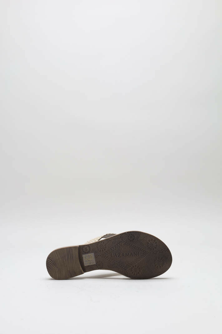 Goud Slipper image