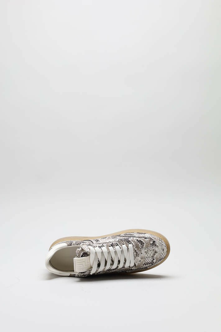 Greige Sneaker image