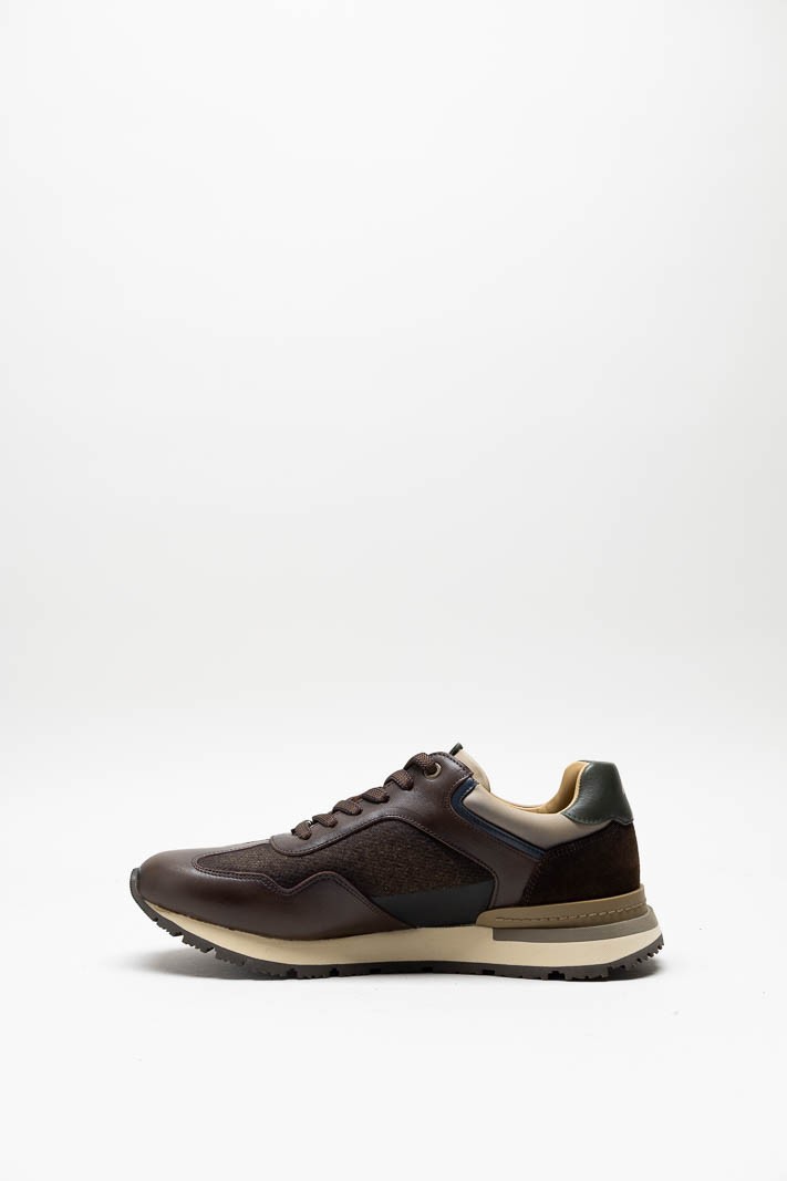 Bruin Sneaker image
