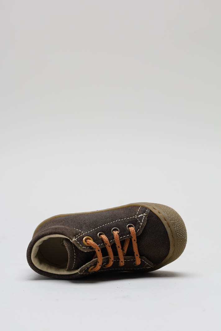 Donkerbruin Prestapper image