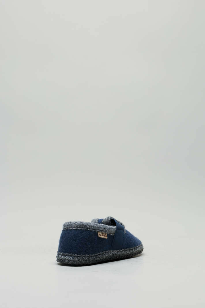 Blauw Pantoffel image