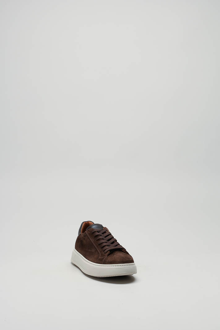 Bruin Sneaker