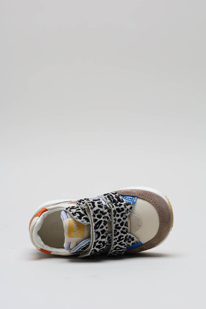 Lila Velcro schoen image