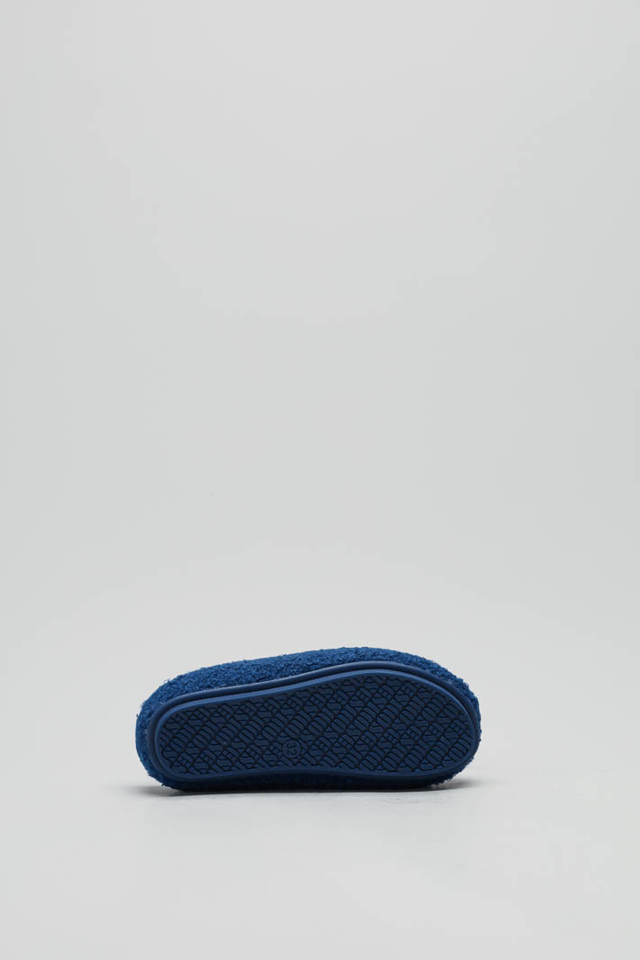 Blauw Pantoffel image