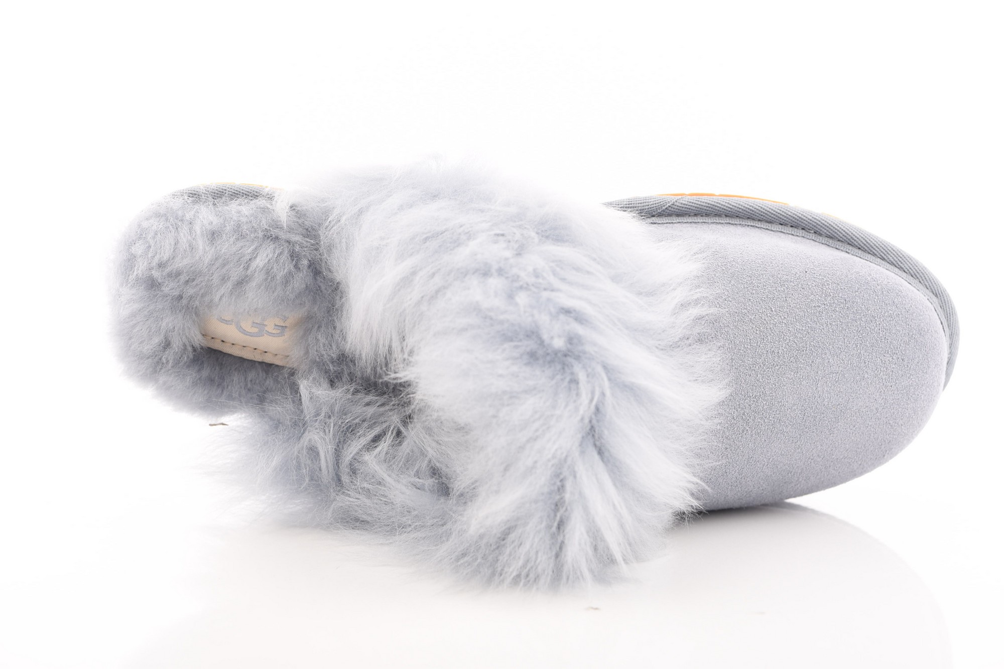 Blauw Pantoffel image
