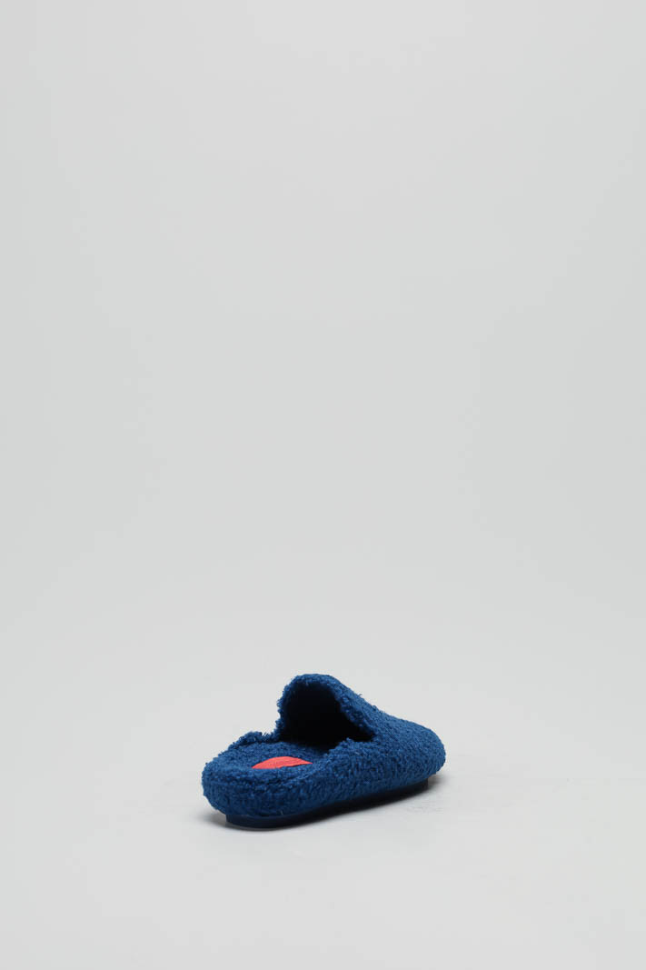 Blauw Pantoffel image