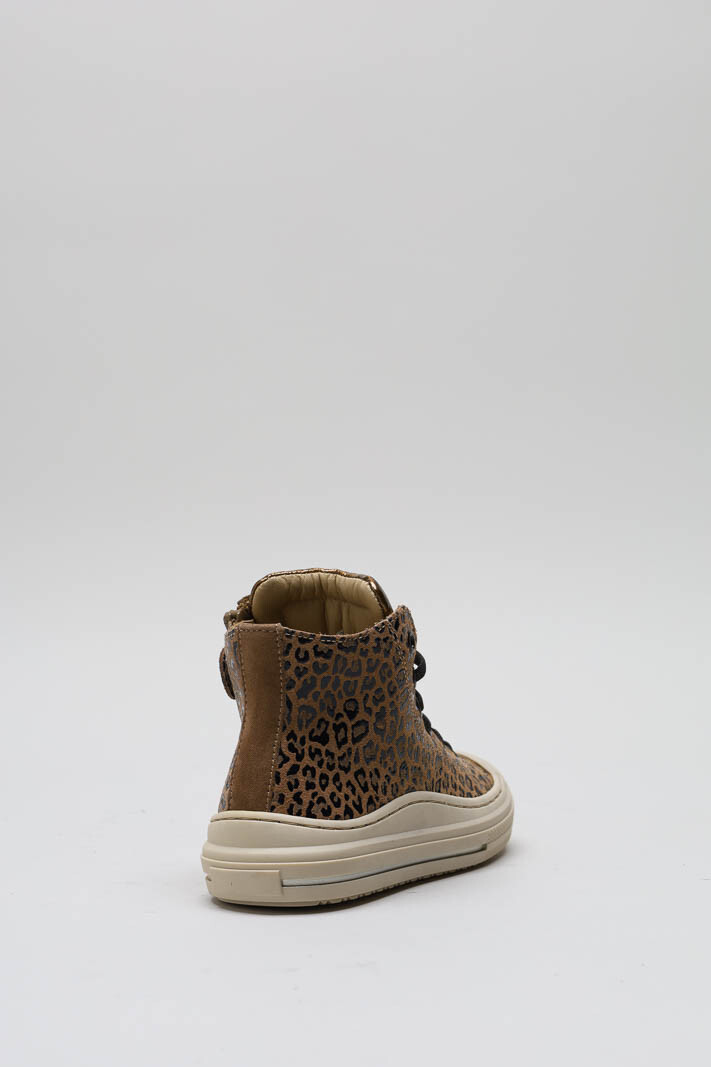 Bruin Sneaker image