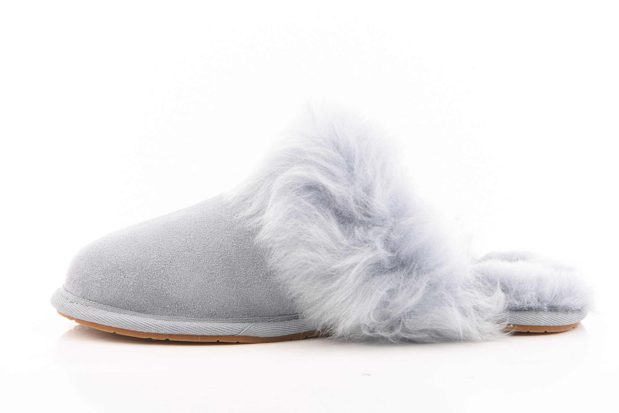 Blauw Pantoffel image