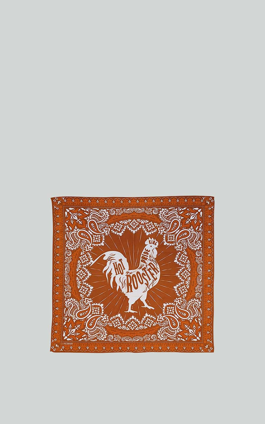 Roestbruin Sjaal image