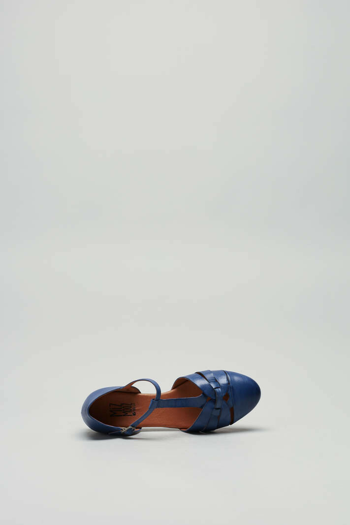 Blauw Ballerina image