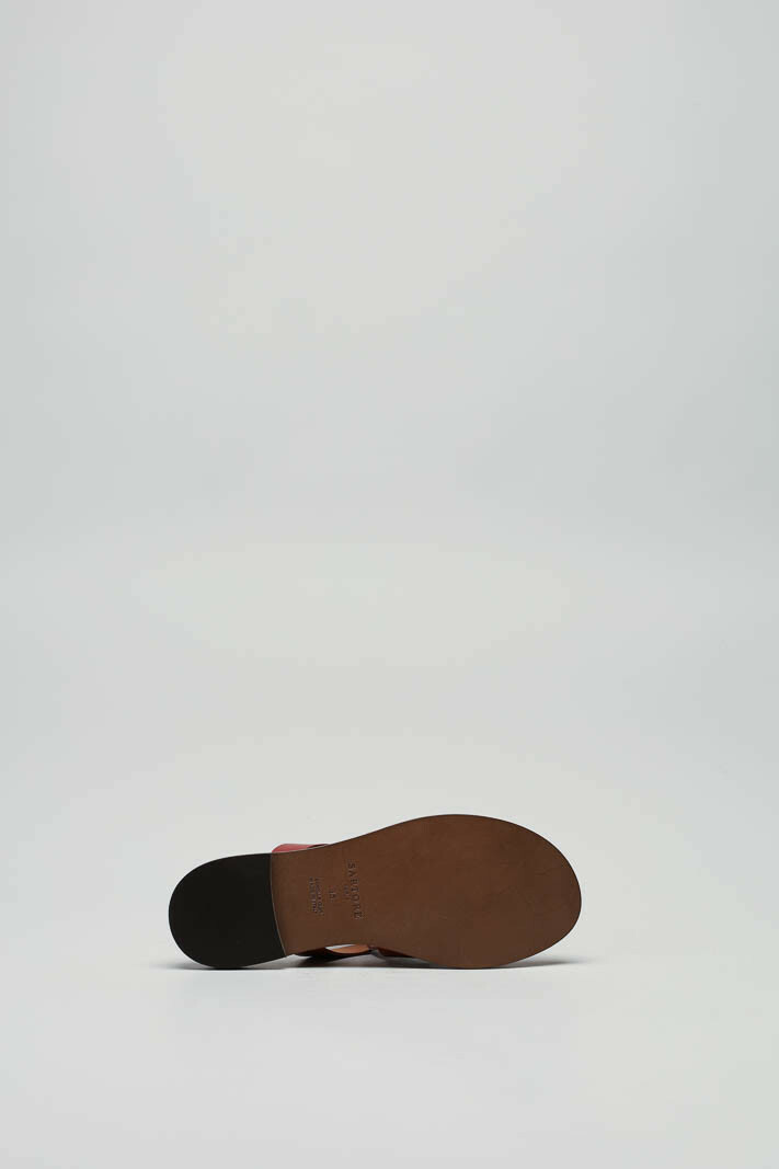 Roestbruin Muiltje image