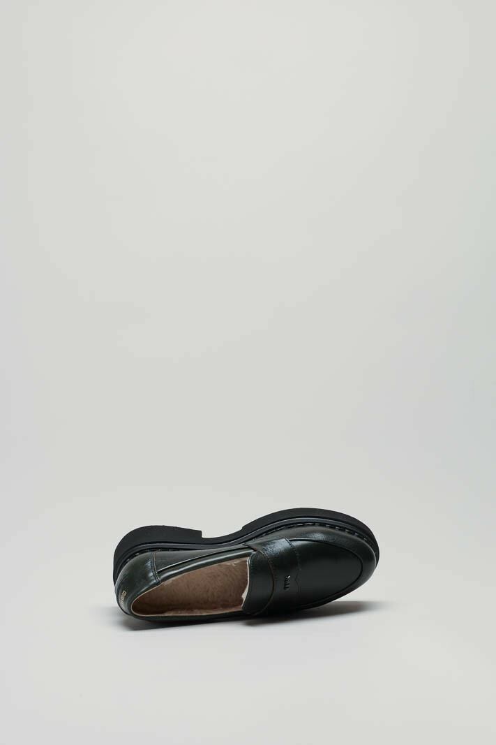 Groen Instapper image