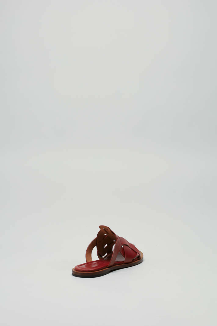 Roestbruin Muiltje image