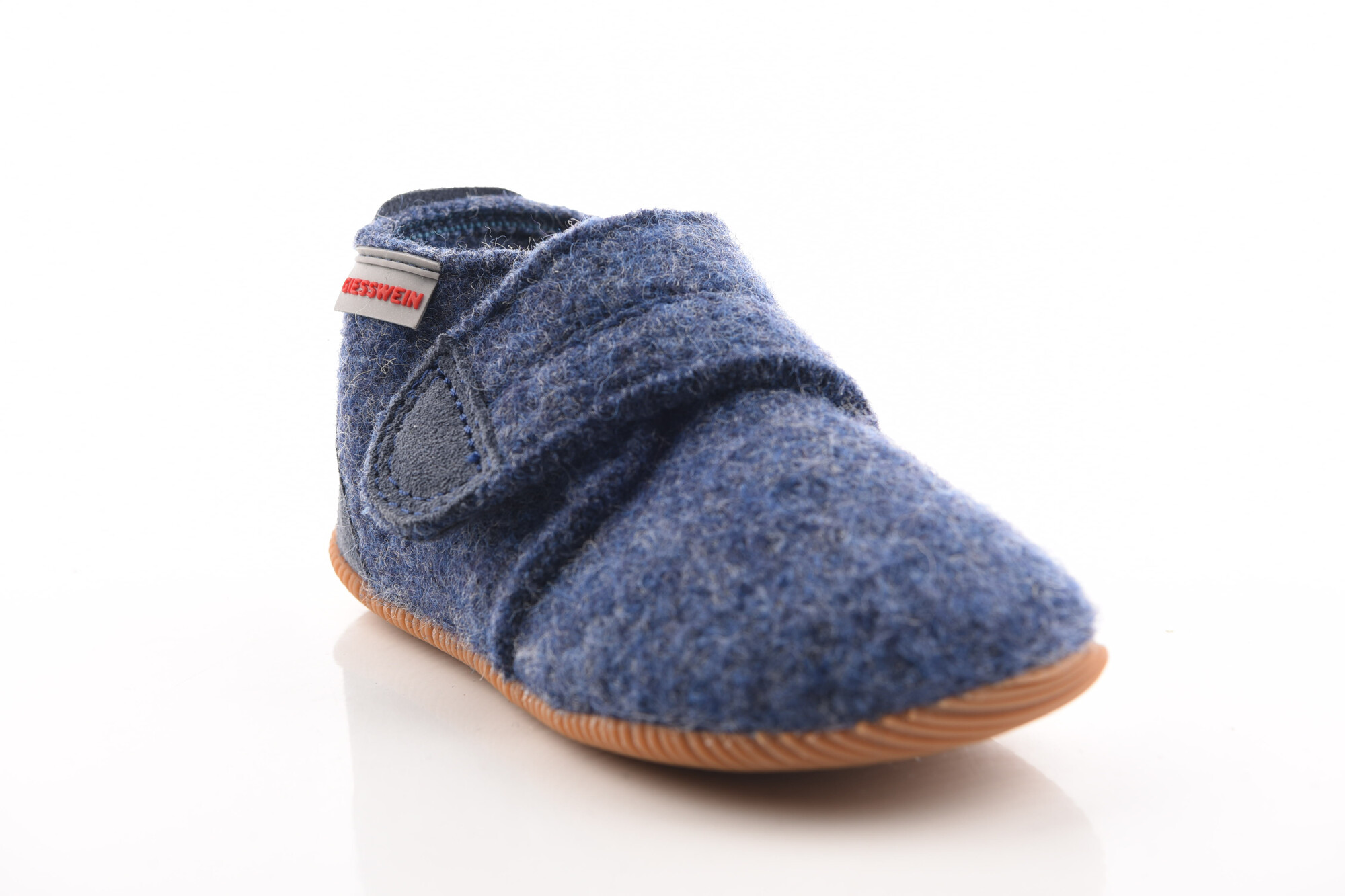 Blauw Pantoffel