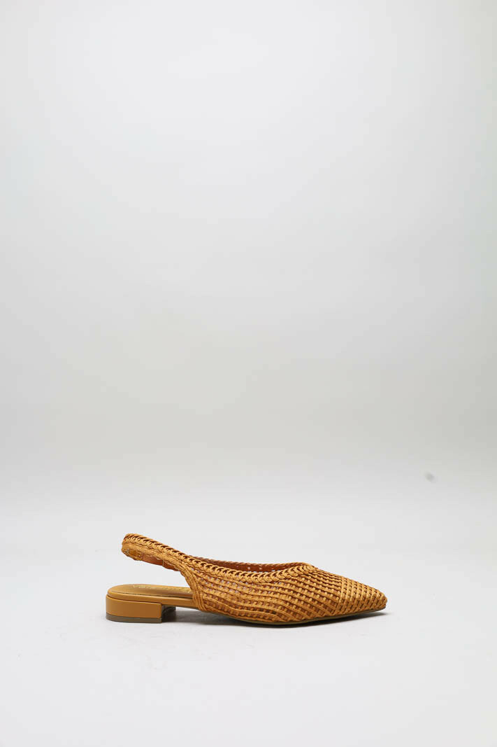 Oranje Ballerina image