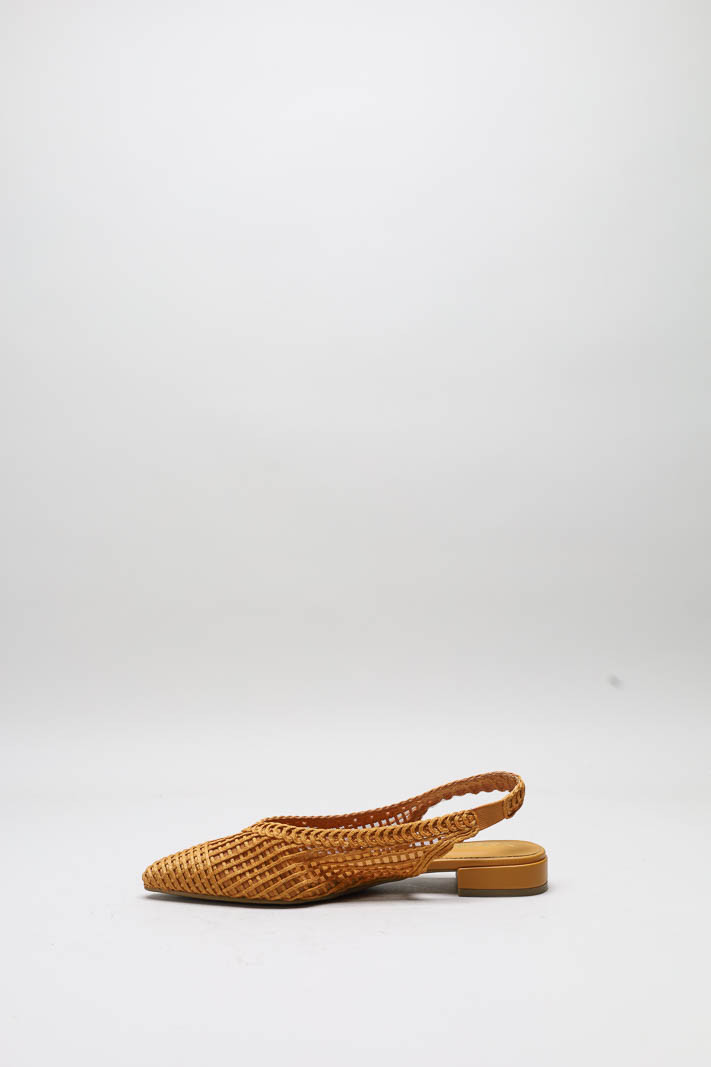 Oranje Ballerina image