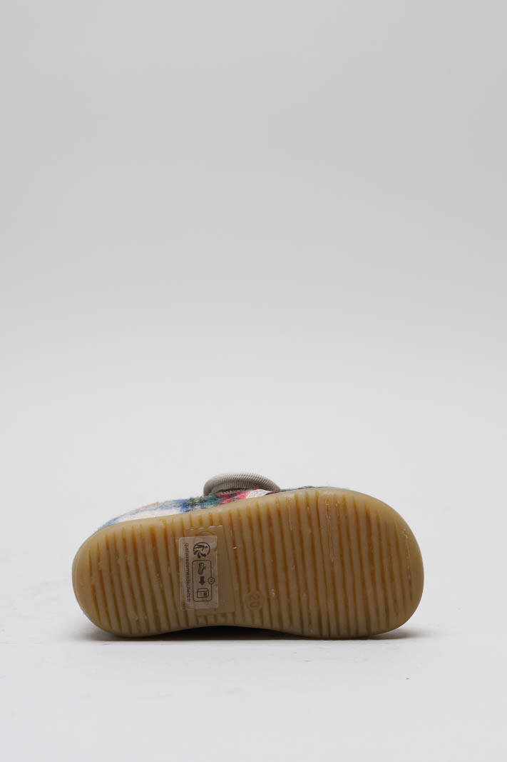 Rood Pantoffel image