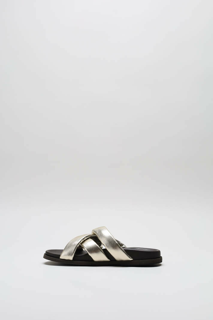 Goud Slipper image