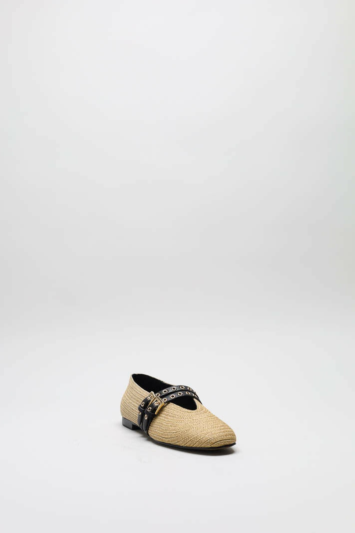 Camel Ballerina image