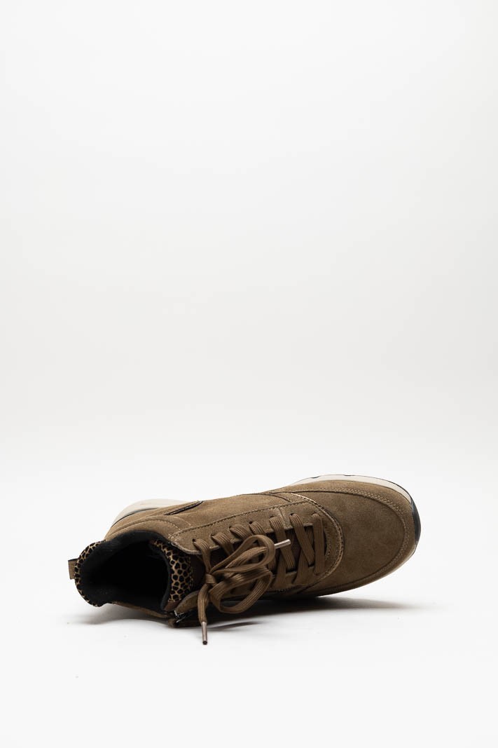 Bruin Sneaker image