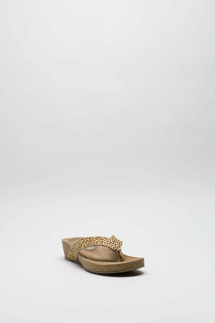 Beige Slipper image