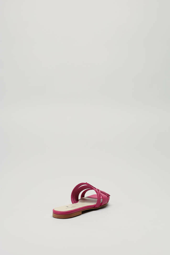 Fuchsia Muiltje image