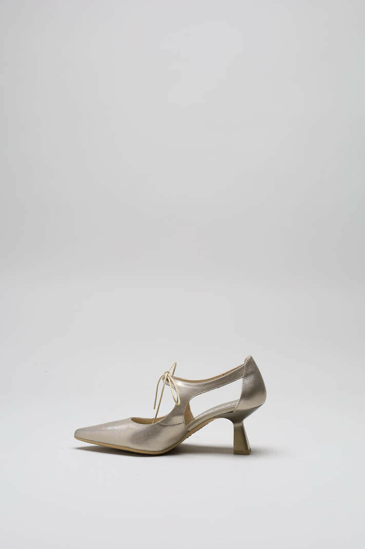 Goud Pump image