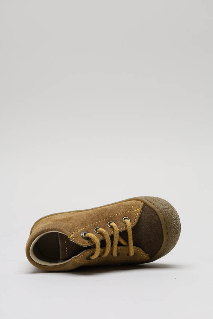 Camel Prestapper image