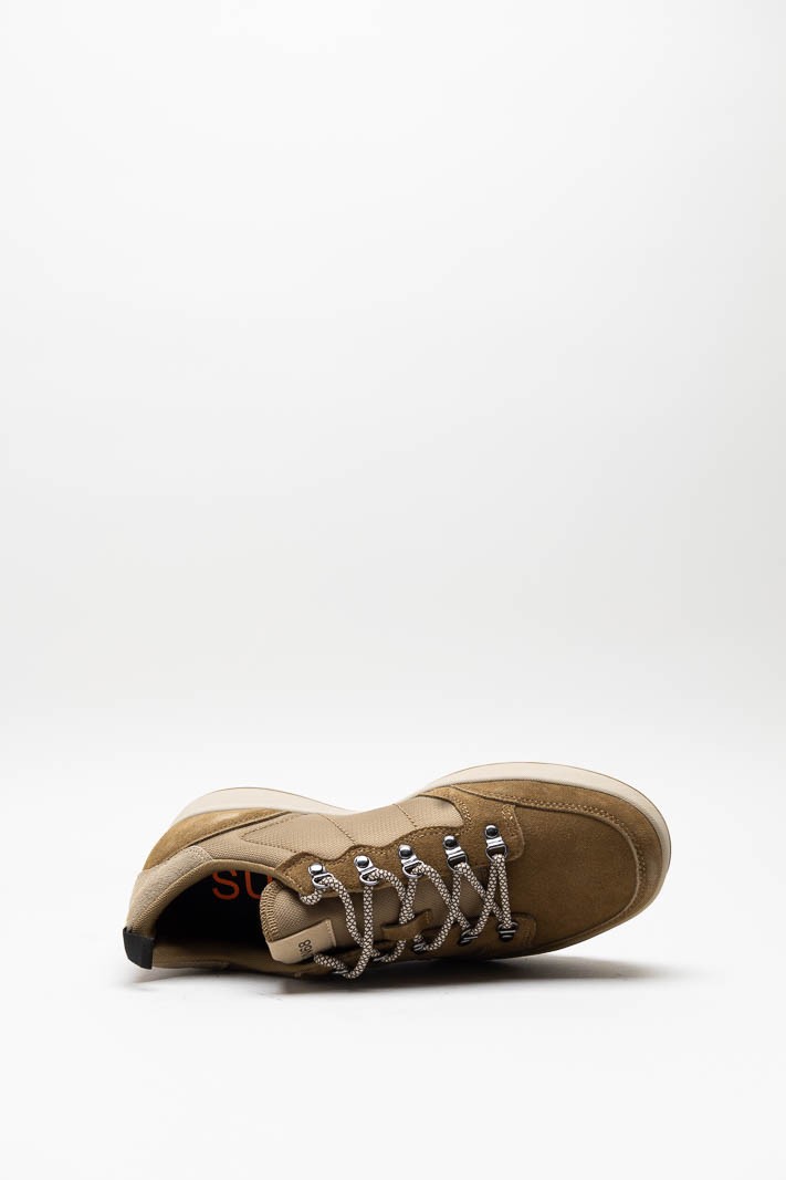 Bruin Sneaker image
