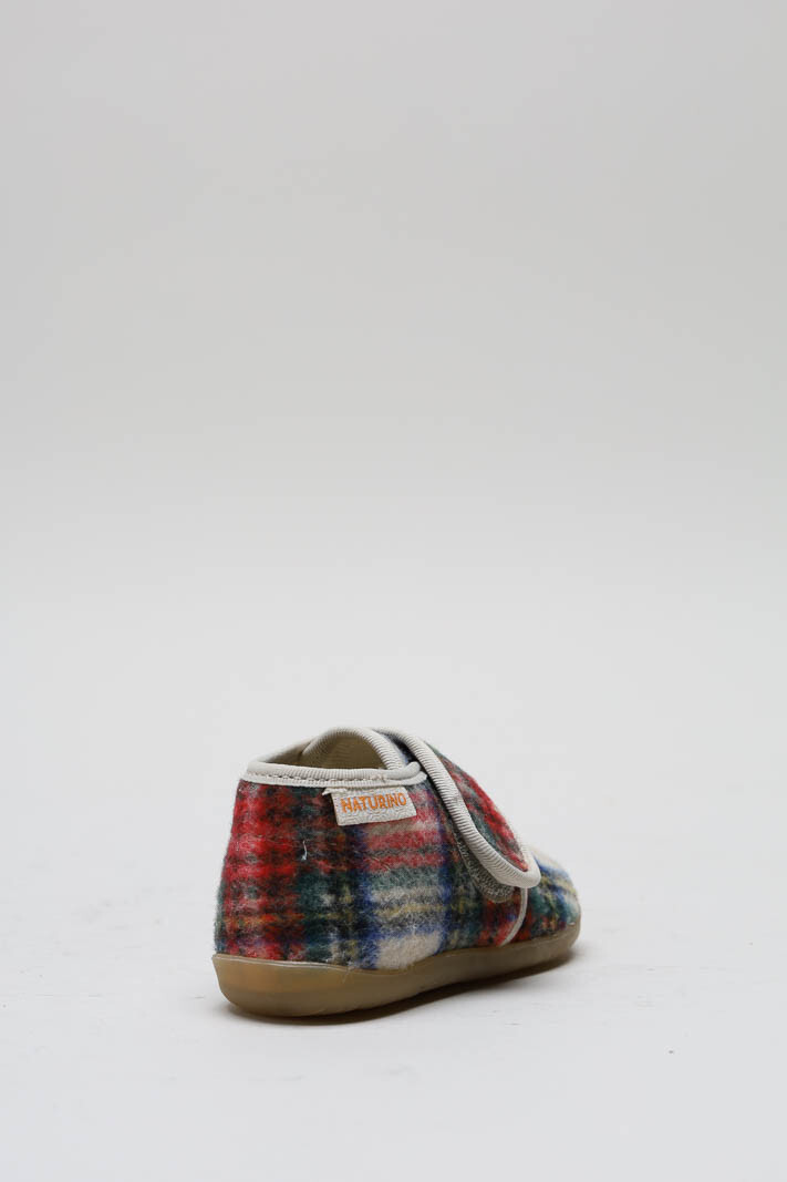 Rood Pantoffel image