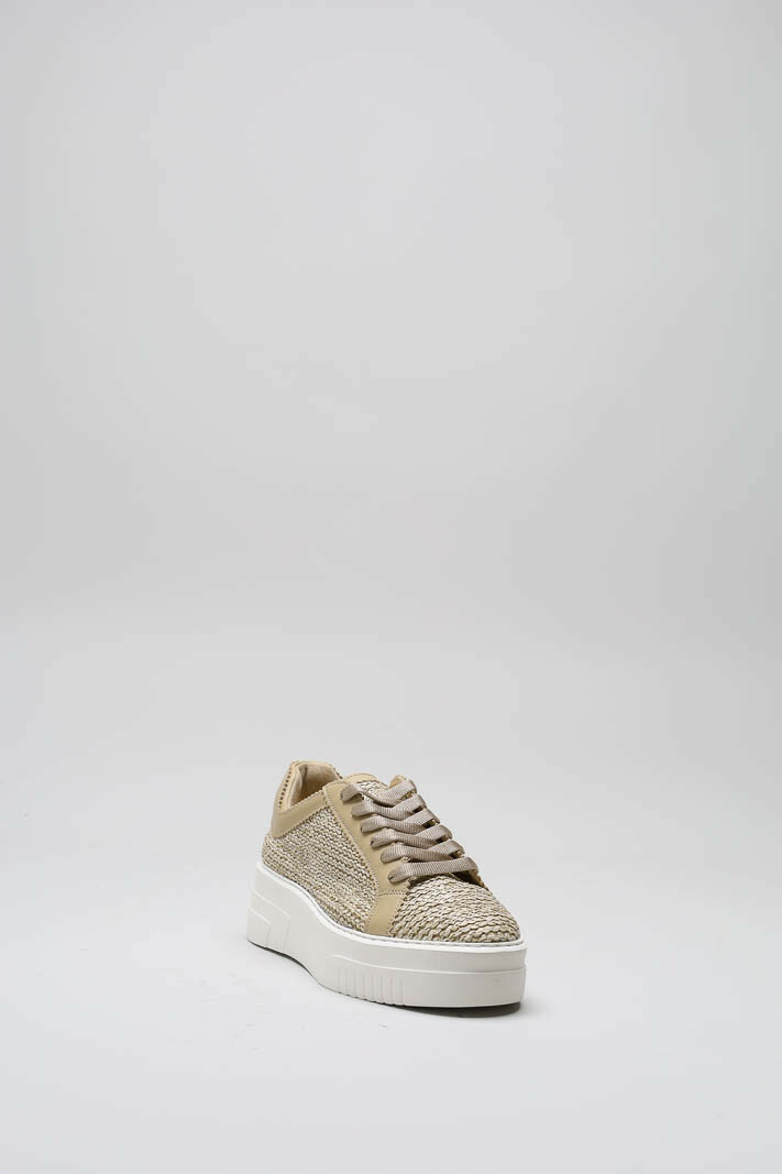 Beige Sneaker image