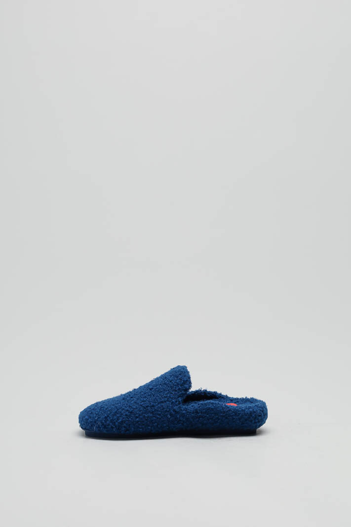 Blauw Pantoffel image