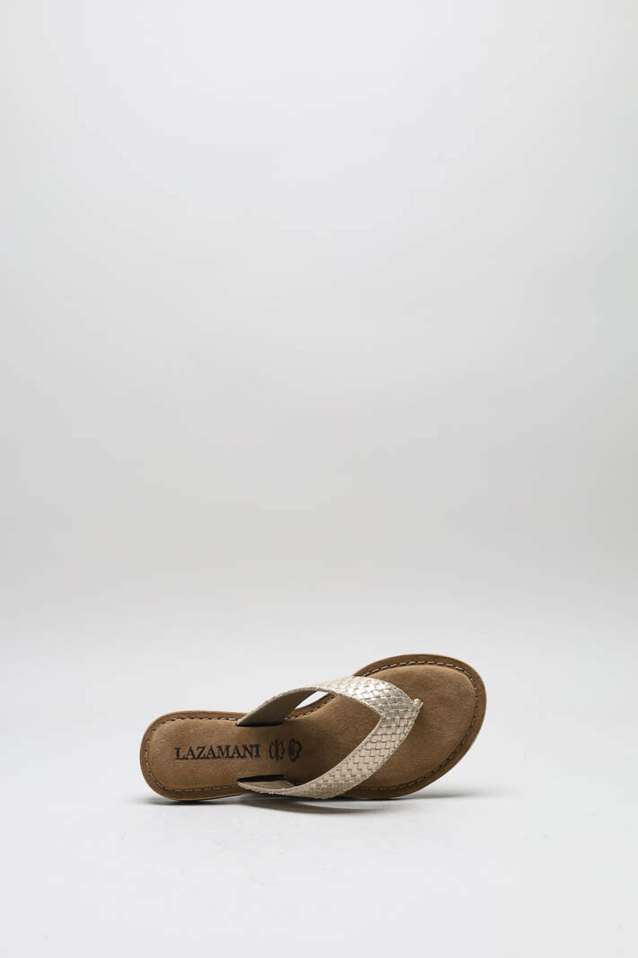 Goud Slipper image