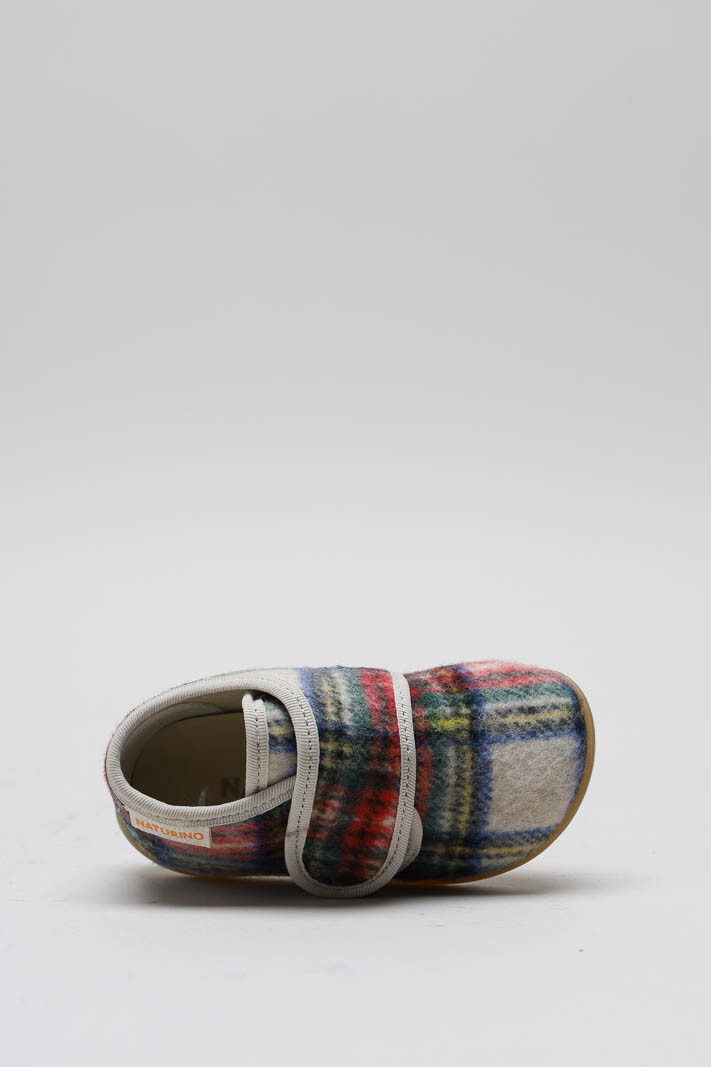 Rood Pantoffel image