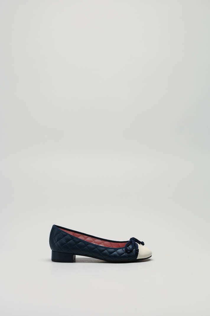 Blauw Ballerina image