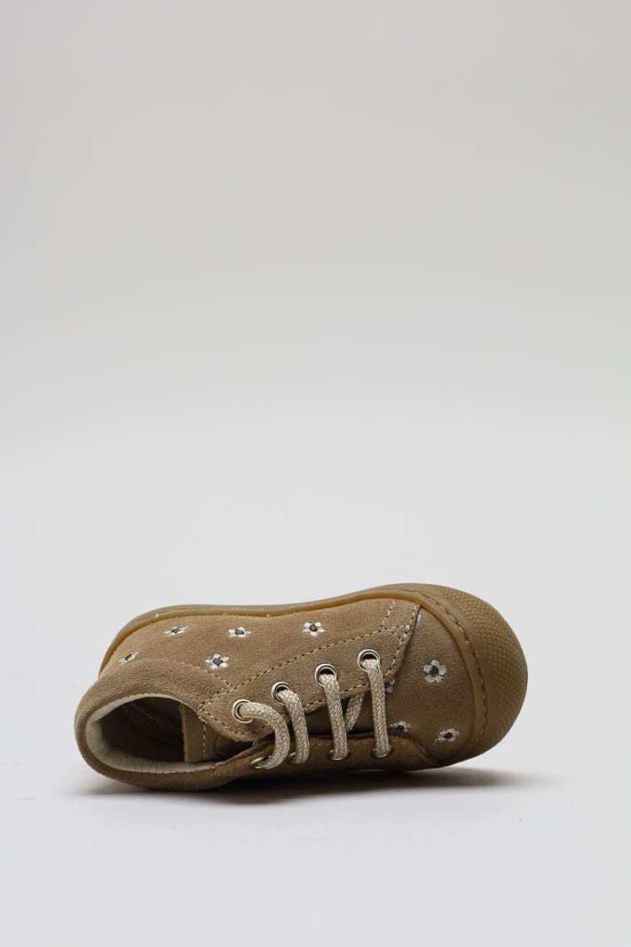 Bruin Prestapper image