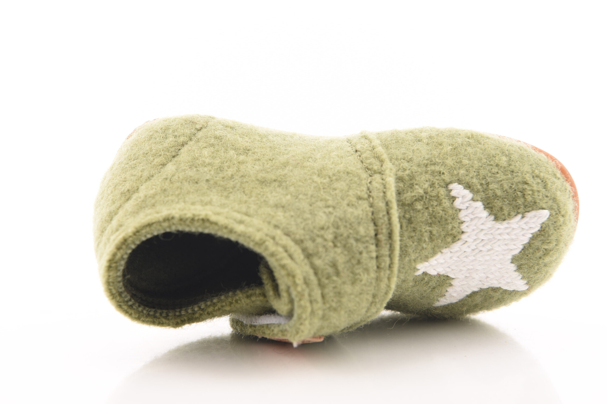 Groen Pantoffel image