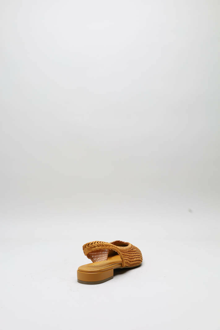 Oranje Ballerina image