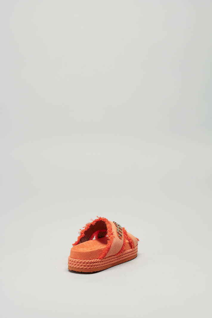 Oranje Muiltje image