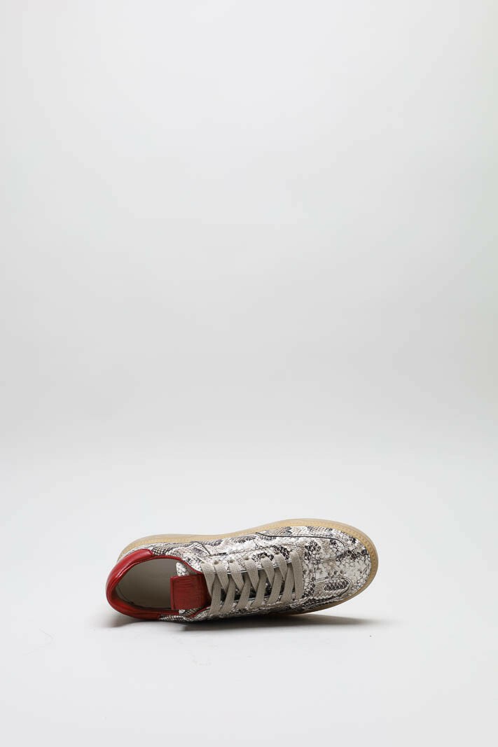 Greige Sneaker image