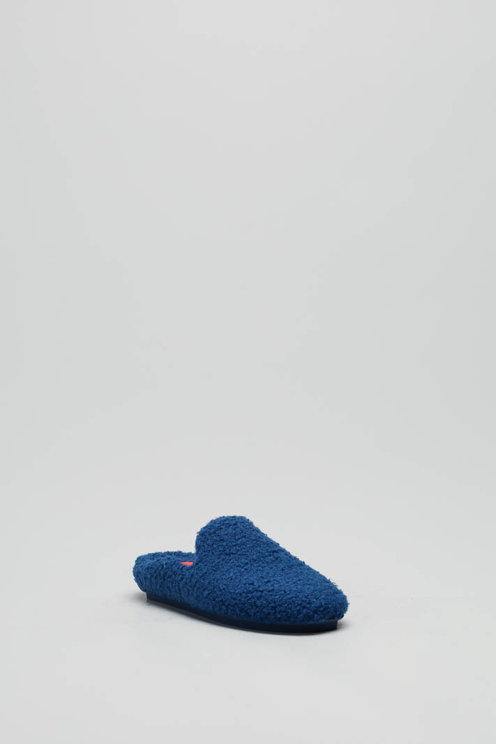 Blauw Pantoffel image