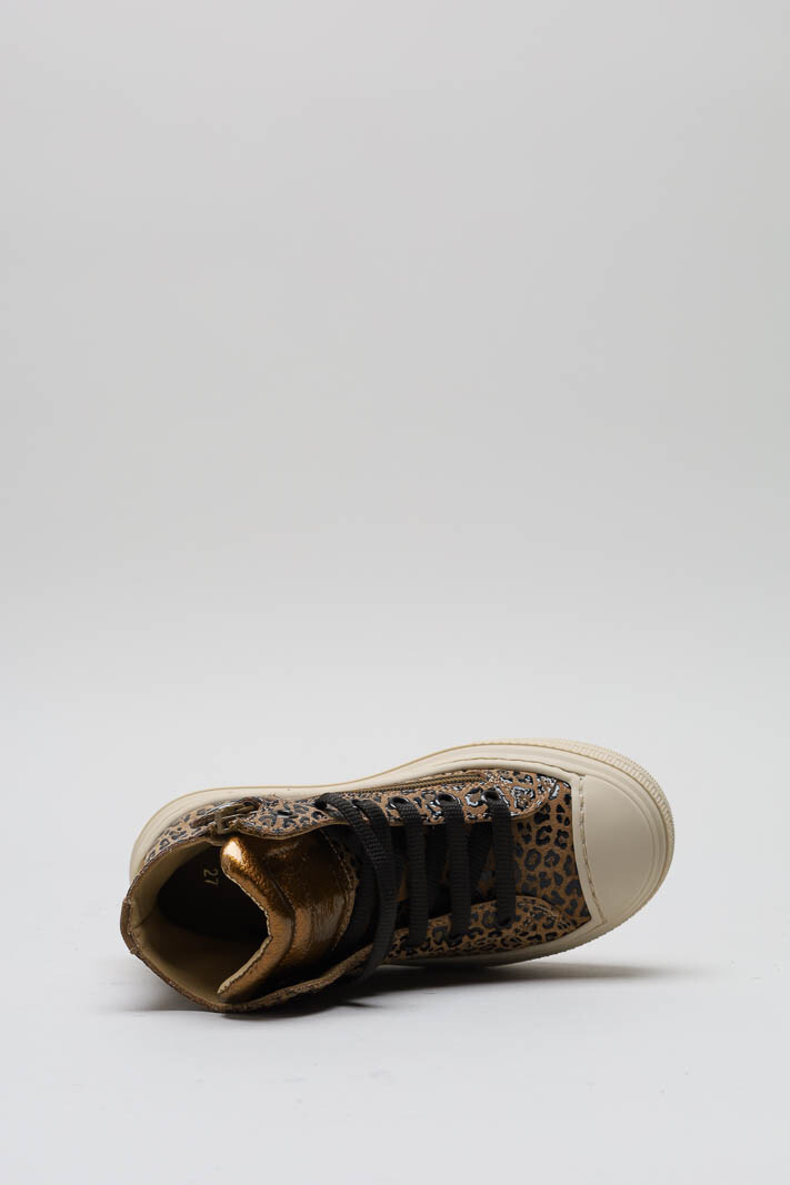 Bruin Sneaker image