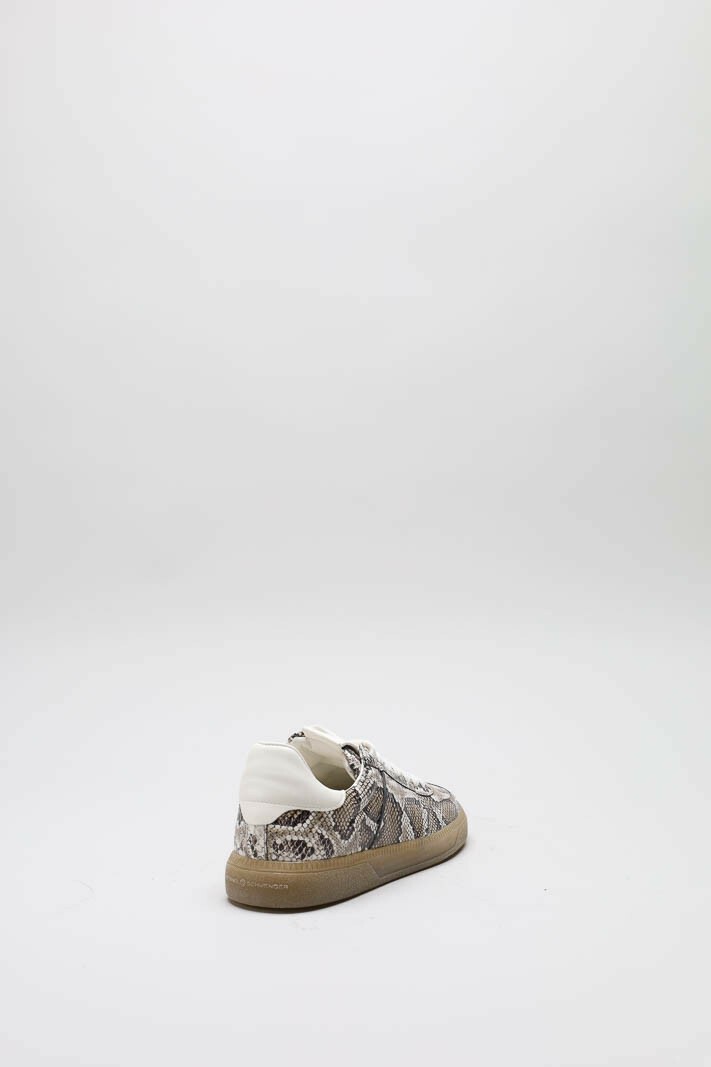Greige Sneaker image