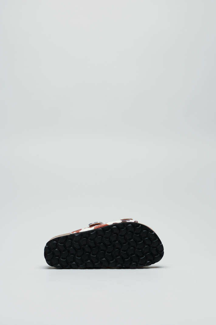 Lichtbruin Muiltje image